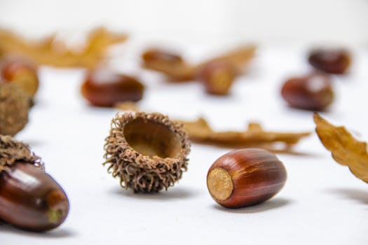 Who Is Acorns Actually Best For?