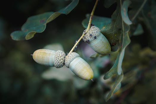 Acorns vs Betterment for micro-investing 2026 — featured image