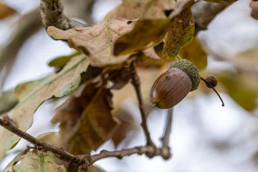 Who Should Choose Betterment?