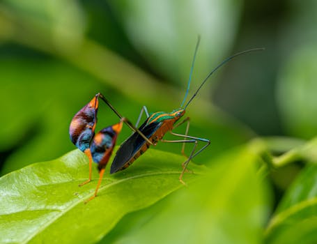 Hotspot Shield vs StrongVPN 2026 — featured image