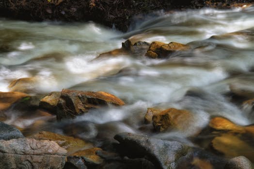 Surfshark Overview: Budget-Friendly Streaming