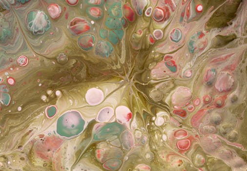 Windscribe vs Mullvad 2026 — featured image